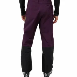 Jack Wolfskin Skitouren<· ALPSPITZE TOUR 3L PANTS M midnight plum