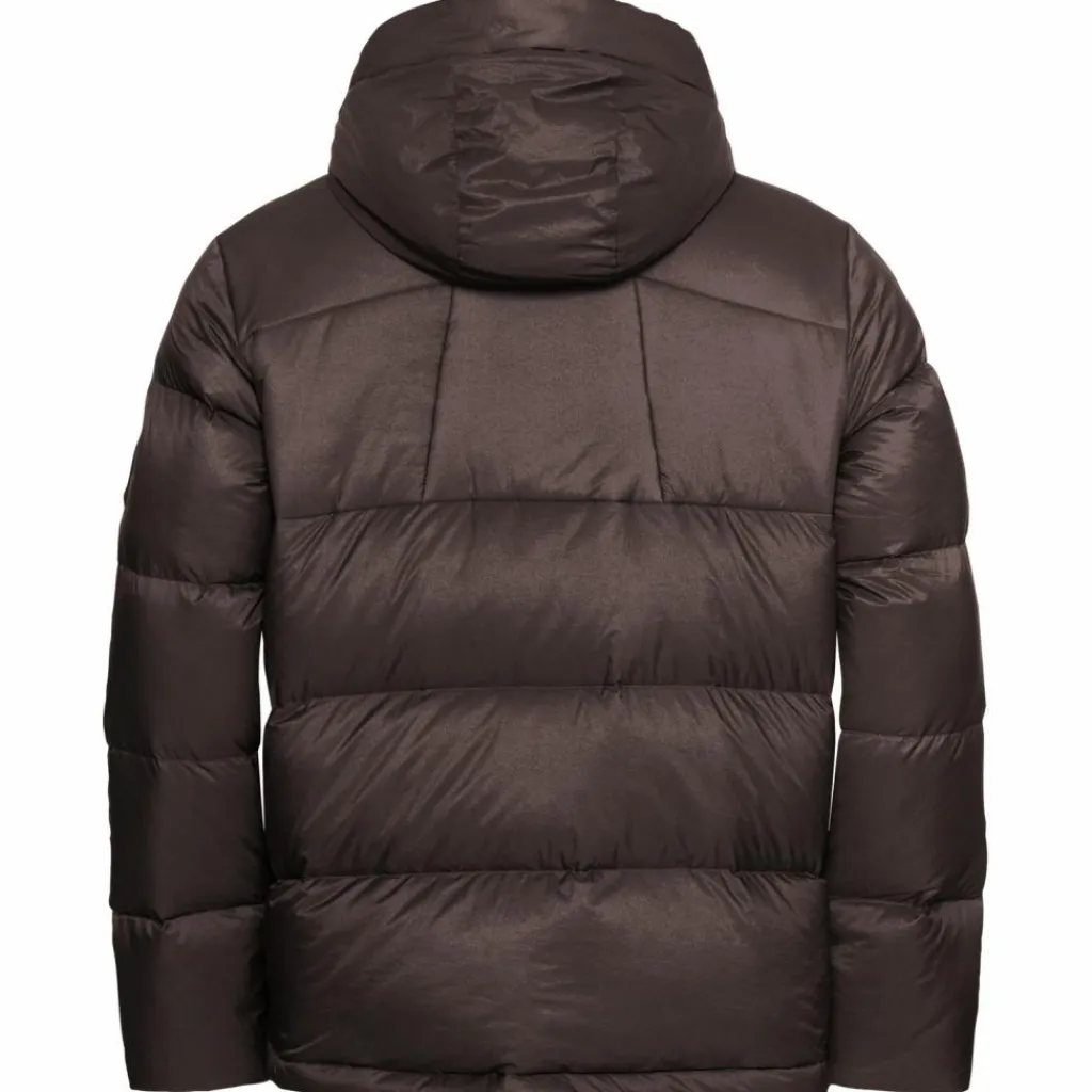 Jack Wolfskin Winterjacken<· ICY HILL JKT M RDS peat