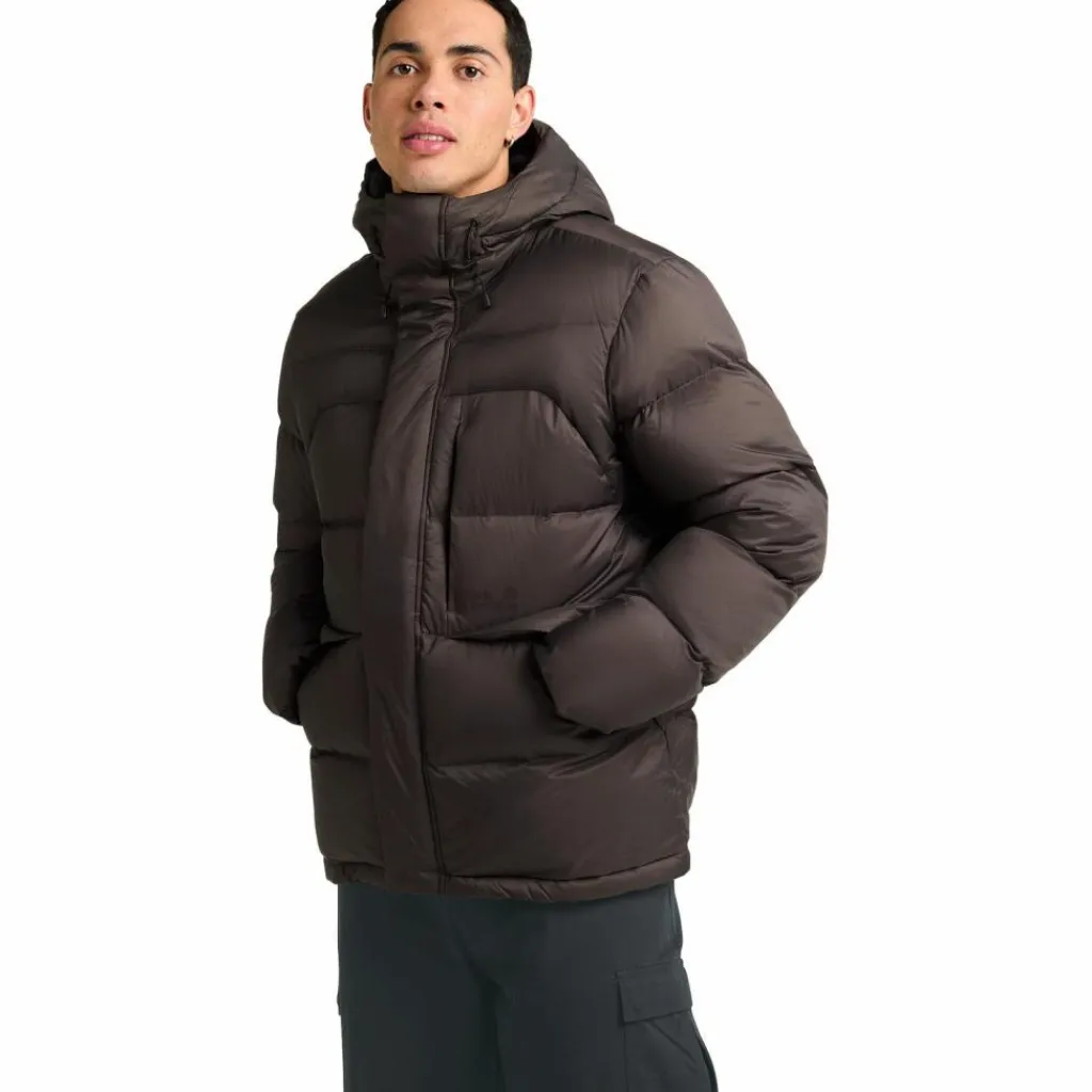 Jack Wolfskin Winterjacken<· ICY HILL JKT M RDS peat