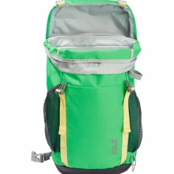 Jack Wolfskin Rucksäcke<· KIDS EXPLORER 20 lizard