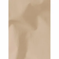 Jack Wolfskin Mäntel<· NABUR 2L C W oat