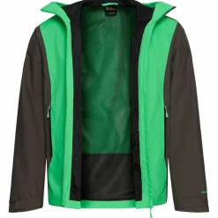Jack Wolfskin Regenjacken<· RAINRUSH 2L JKT M lizard