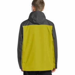 Jack Wolfskin Winterjacken<· TAUBENBERG 3IN1 JKT M chartreuse