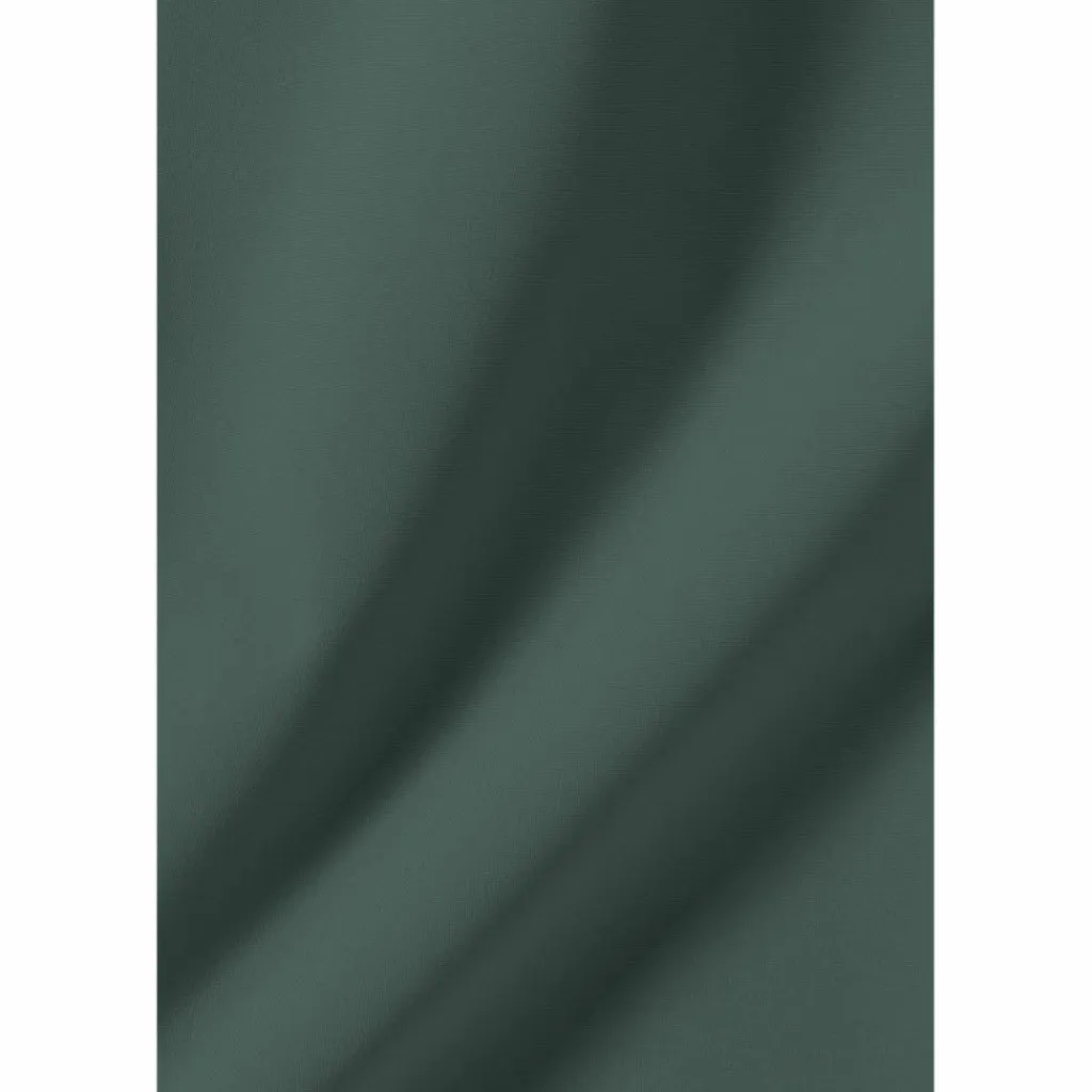 Jack Wolfskin Regenjacken<· TRAILTIME 2L JKT M sago palm