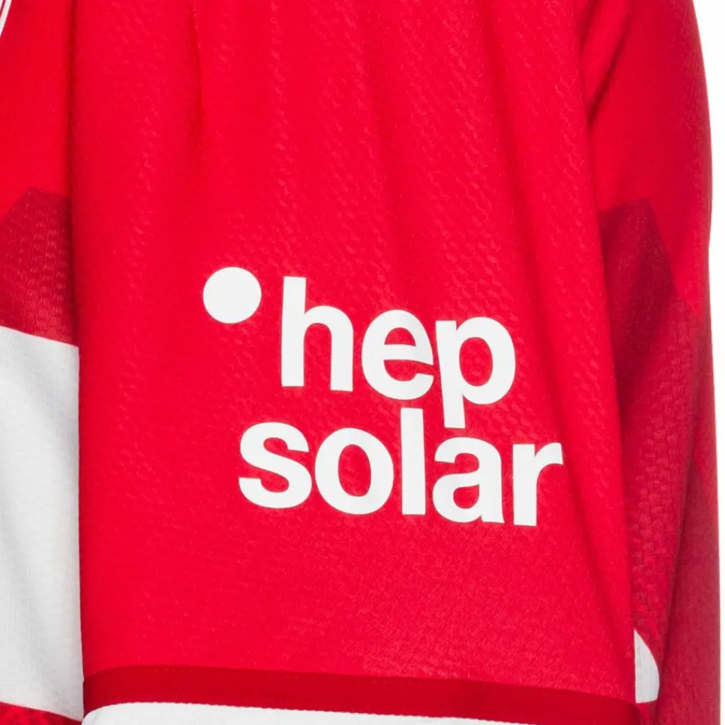Online · VfB Stuttgart 24/25 Auswärts Herren Trikots