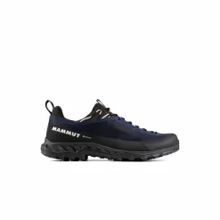 Online · Alnasca IV Low GTX Herren Wanderschuhe