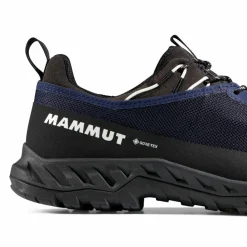 Online · Alnasca IV Low GTX Herren Wanderschuhe