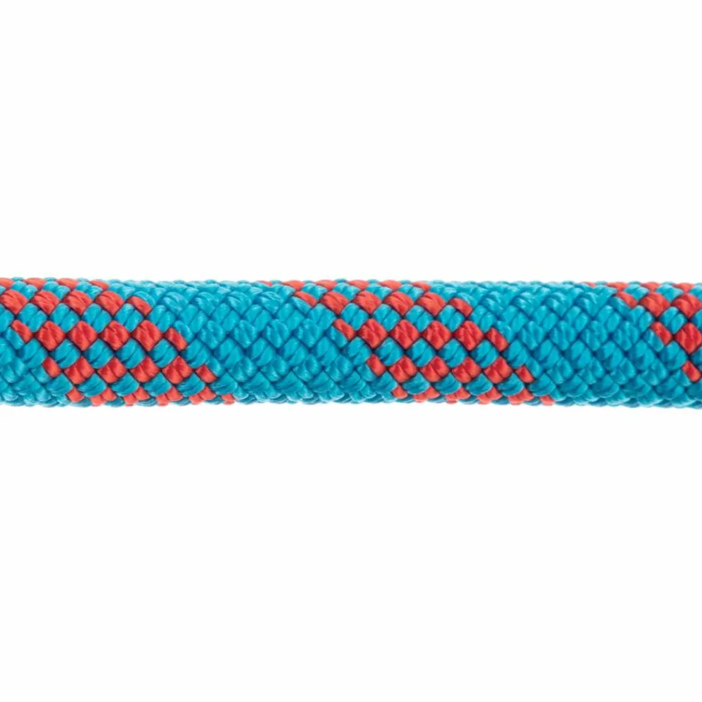 Mammut Klettern & Bouldern|Bergsteigen<· 9.6mm Performance Plus Classic ice mint-rasperry