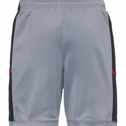 Nike Shorts<· Academy cool grey-black-bright crimson