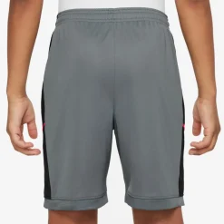 Nike Shorts<· Academy cool grey-black-bright crimson