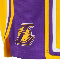 Nike Basketball|Basketball<· Los Angeles Lakers amarillo-field purple-white