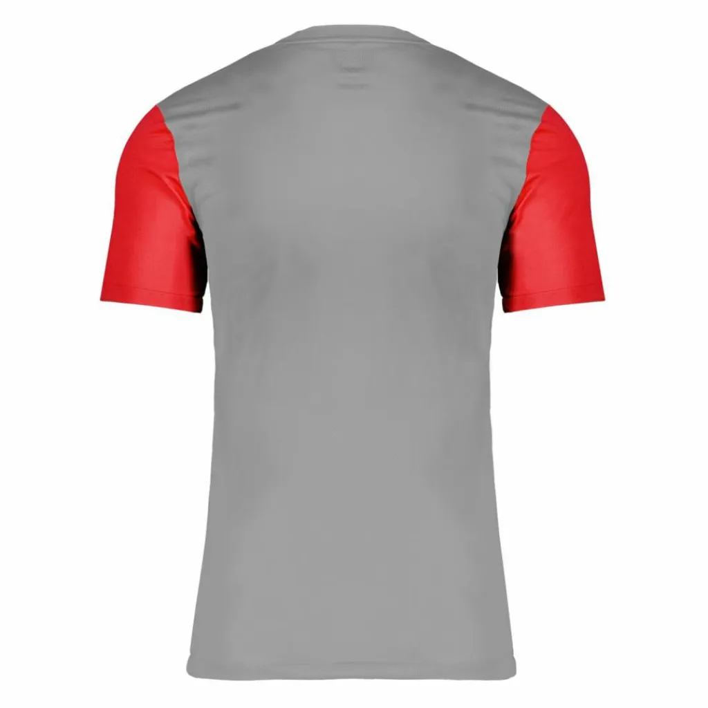Nike Trikots<· Trophy V Trikot graurotschwarz