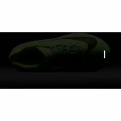 Online · ZOOM FLY 6 Damen Laufschuhe