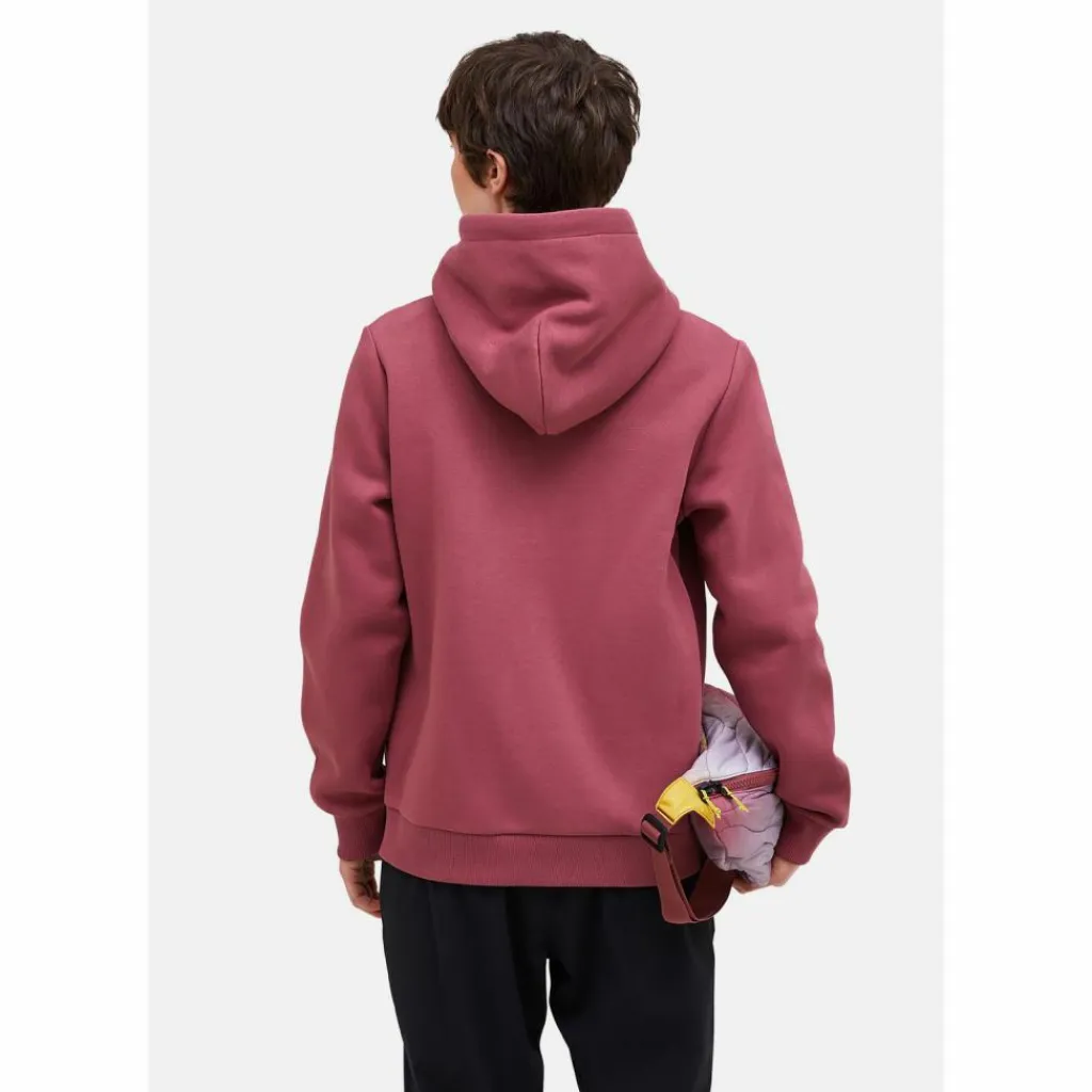 Outlet · W Original Small Logo Hood Damen Pullover & Sweats