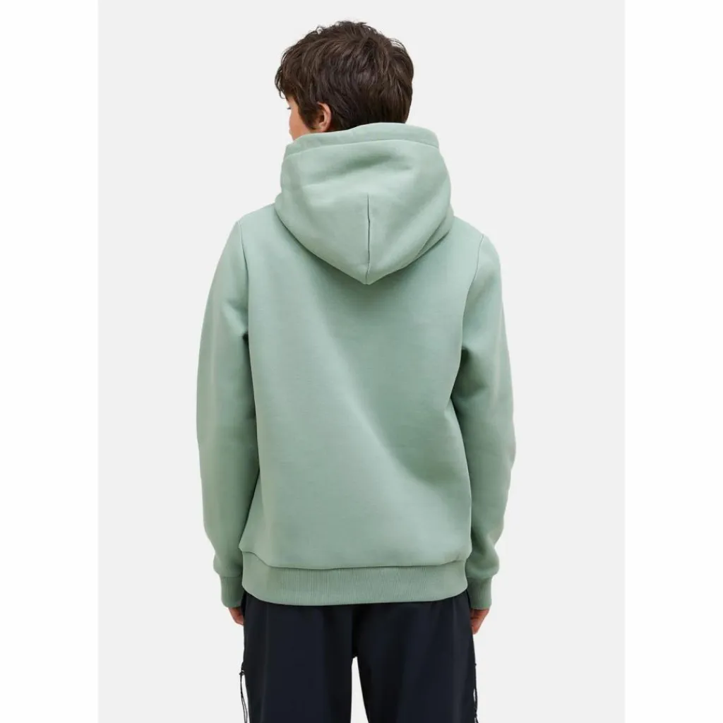 Peak Performance Pullover & Sweats<· W Original Small Logo Hood SALBEI