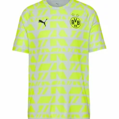 PUMA Fußball<· Borussia Dortmund silver mist-yellow alert