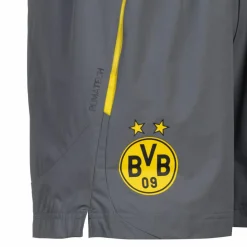 PUMA Fußball<· Borussia Dortmund cool dark gray-faster yellow