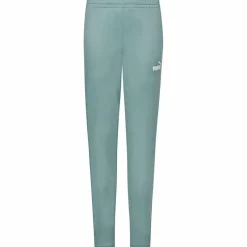 PUMA Trainingsanzüge<· Colorblock green moon