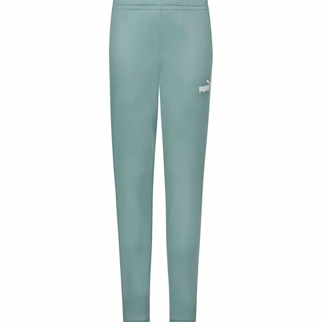 PUMA Trainingsanzüge<· Colorblock green moon
