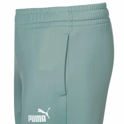 PUMA Trainingsanzüge<· Colorblock green moon