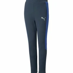 PUMA Hosen|Training<· EVOSTRIPE dark night