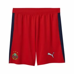 PUMA Shorts<· SK Rapid Wien Short Auswärts 2025/2026 rot