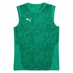 PUMA Trikots<· teamCUP Training Tanktop gruensilbergruen