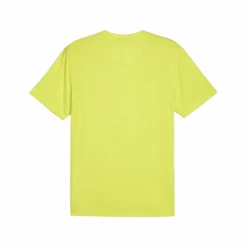 Online · teamFINAL Trikot Herren Trikots