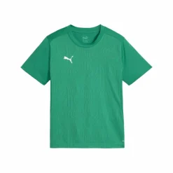 PUMA Fußball|Trikots<· teamFINAL Trikot Kids gruensilber