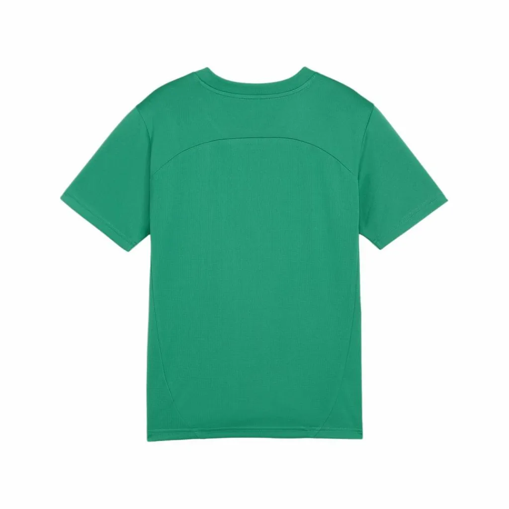 PUMA Fußball|Trikots<· teamFINAL Trikot Kids gruensilber