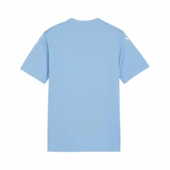 PUMA Trikots<· teamGLORY Trikot Kids blauweissblau