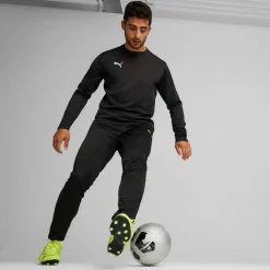 PUMA Fußball|Fußball<· teamGOAL puma black-puma white-flat dark gray
