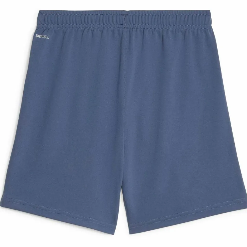PUMA Shorts<· teamLIGA inky blue-fire orchid