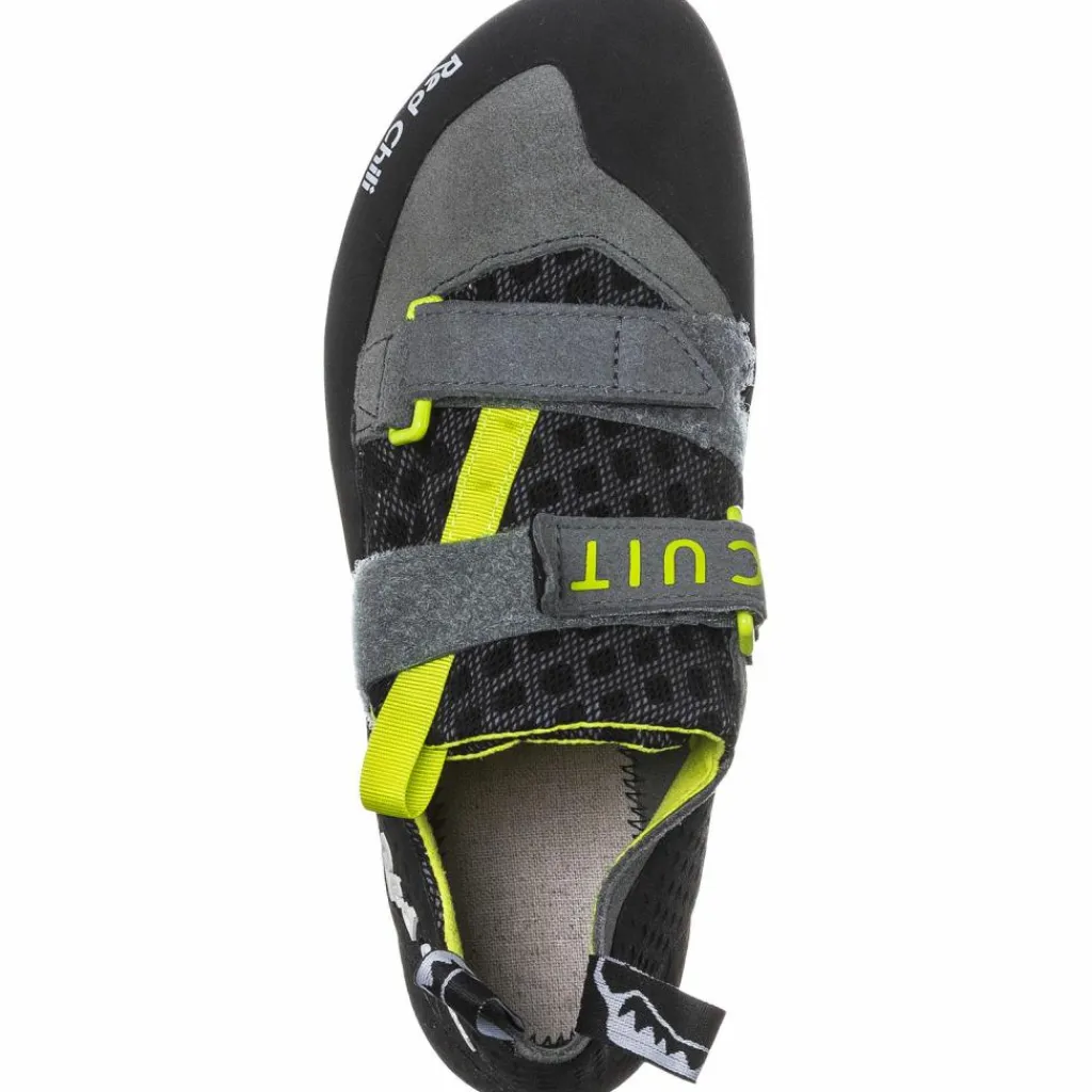 Red Chili Klettern & Bouldern|Klettern<· Circuit LV II seaweed