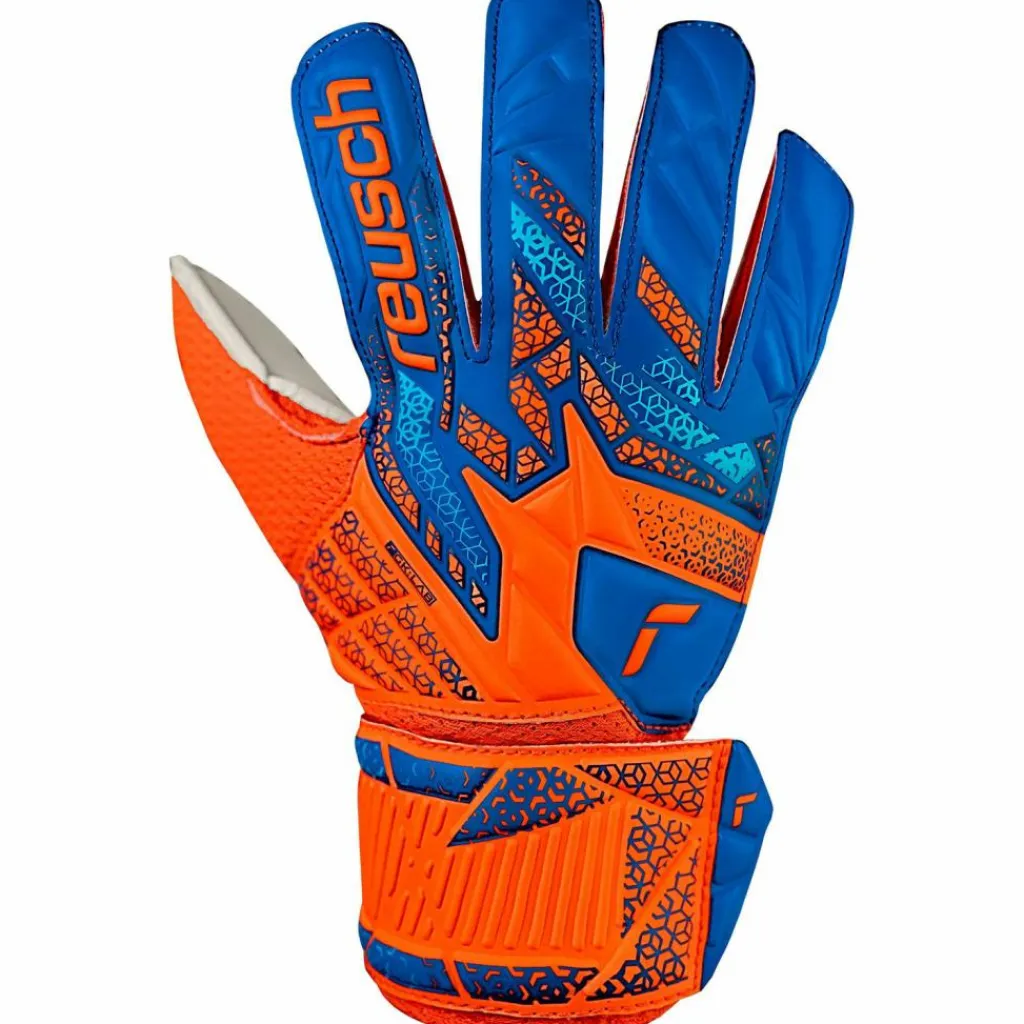 Clearance · Attrakt Solid Junior Damen Handschuhe|Handschuhe