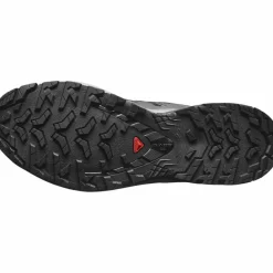 Salomon Wandern|Nordic Walking<· XA PRO 3D V9 black-gull-excalibur