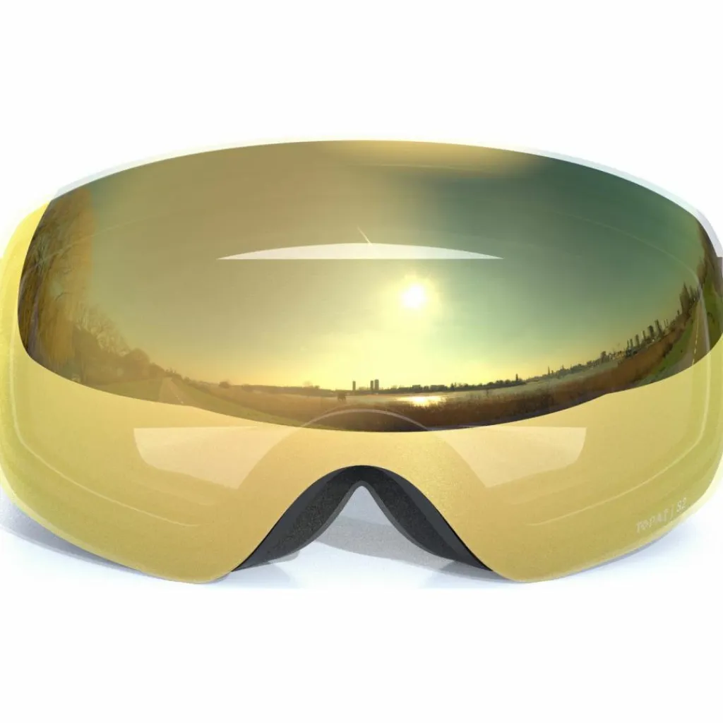 Whistler Brillen|Brillen<· Morgins Topaz III 1001C Black / Champagne