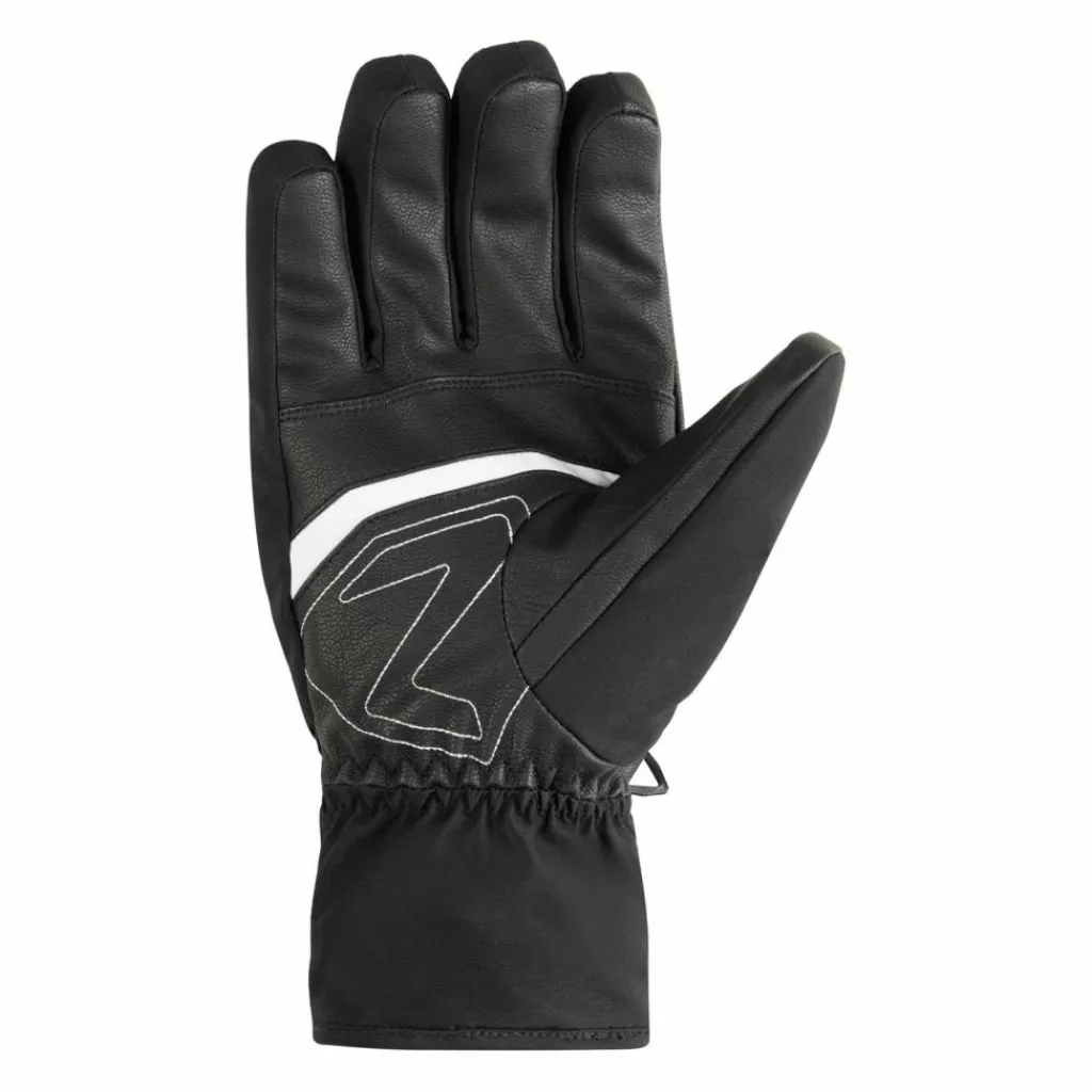 Discount · GALISO-Z GTX Herren Skihandschuhe|Handschuhe