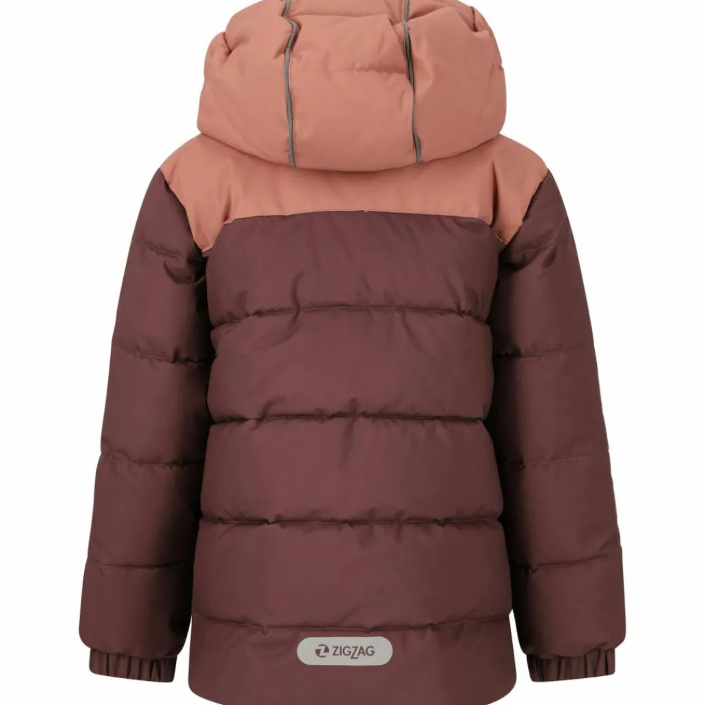 ZigZag Jacken|Ski<· Esra 4261 Huckleberry